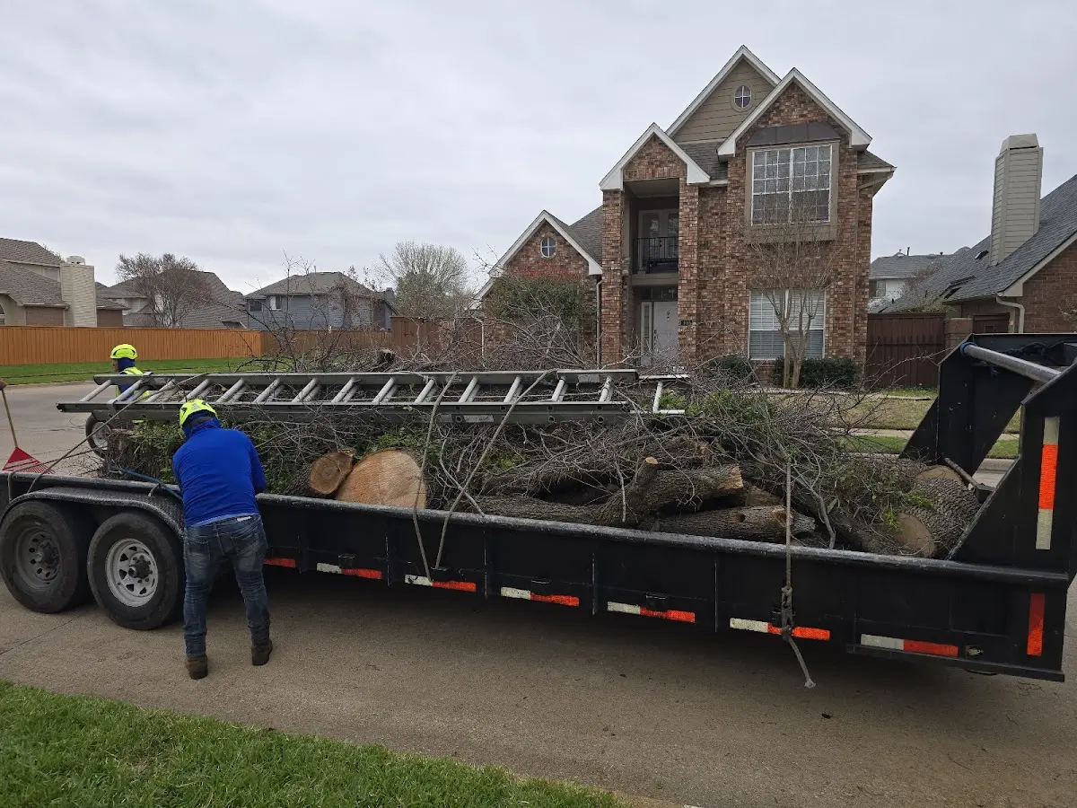 Expert Tree Fertilization with proper safety equipment in Stateline